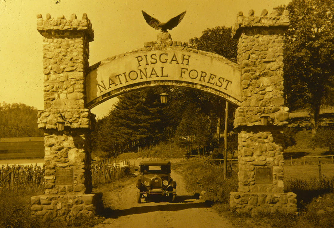 Historical Forest entrance