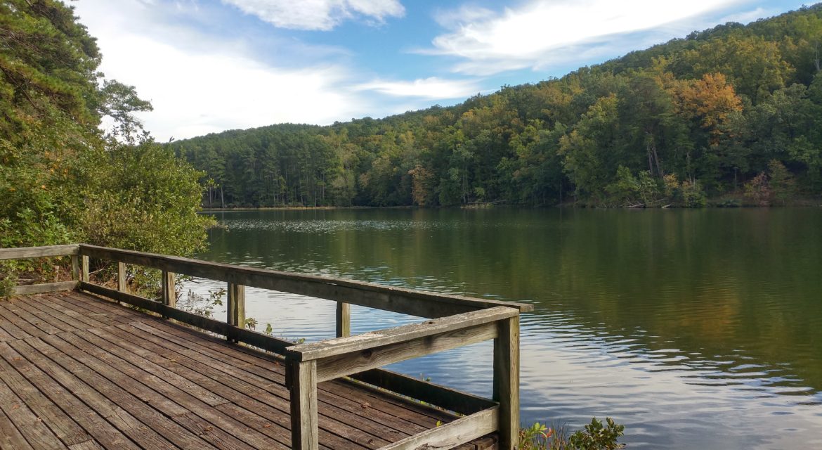 Take advantage of the great fishing opportunities here at Lake Russell!