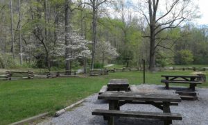 Group camp site at North Mills River